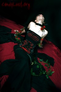 IMG_0485ed IMG_0485ed