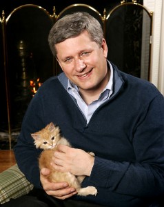 stephen-harper-kitten-238x300 stephen-harper-kitten-238x300