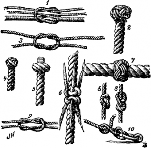 Nf_knots Nf_knots